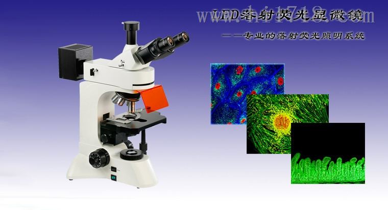 LED荧光显微镜WMF-3530LED