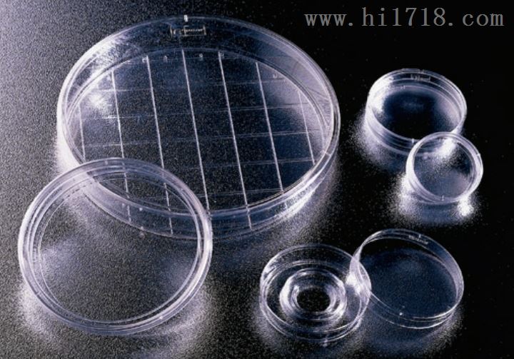 美国BD 351058 细菌培养皿