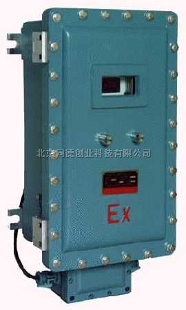 隔爆型（热磁式）氧分析器 REW-5101A Ex