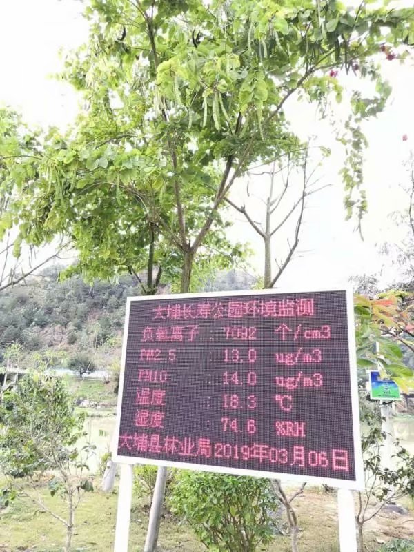 广东梅州空气负氧离子检测系统扬尘PM2.6检测仪
