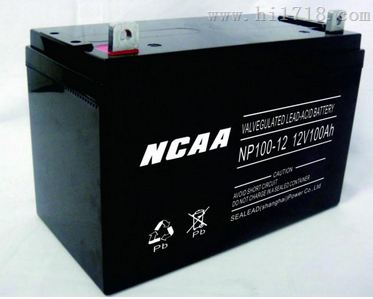 NCAA蓄电池（中国）电源有限公司