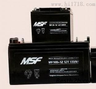 MSF蓄电池（中国）科技有限公司