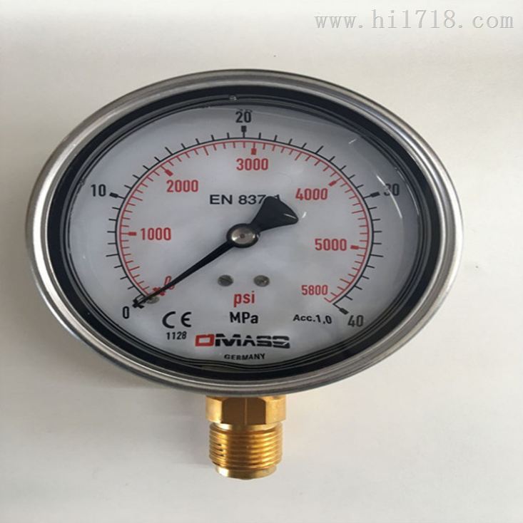 DMASS压力表工业型充液震B06U-250-1