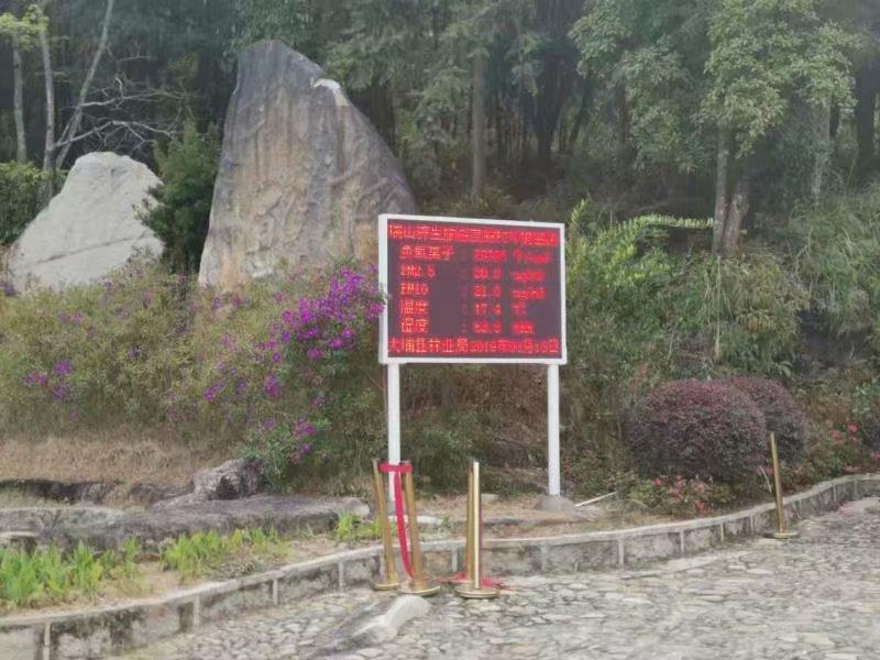 柳州旅游环境在线大气负氧离子浓度检测仪