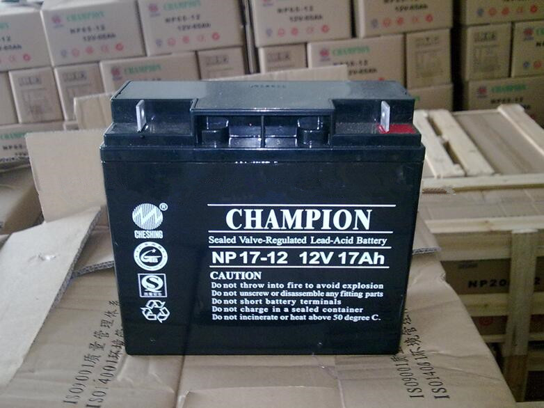 免维护铅酸蓄电池NP17-12送货