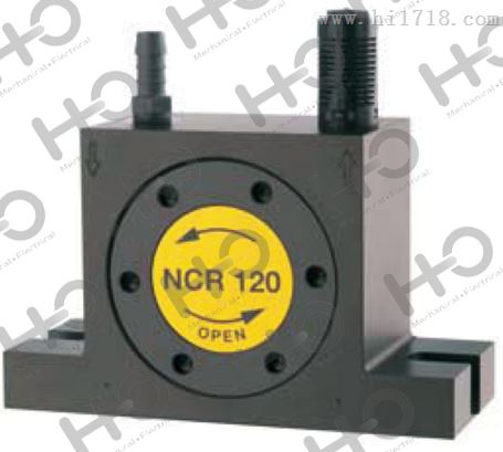 Netter振动器NEG 501140