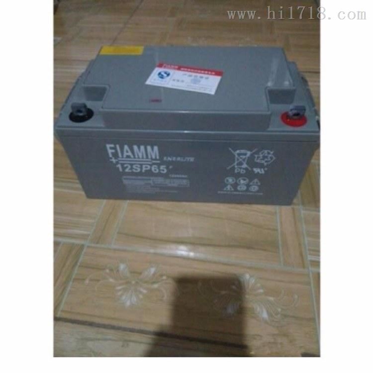 FIAMM蓄电池12SP-65非凡12V65AHUPS专用
