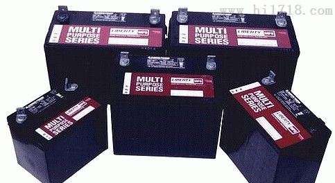 大力神蓄电池MPS12-20 12V20AH价格