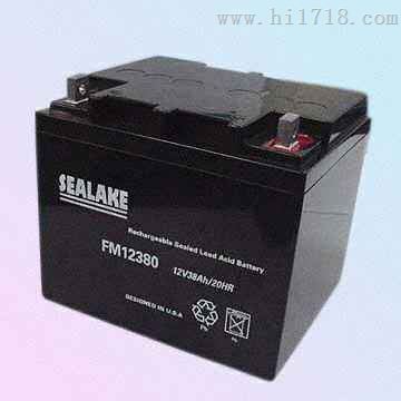 12V80AH海湖蓄电池SEALAKE/FM12800