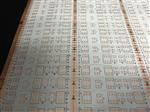 竟佳 LED软灯条5050rgb双面白油碗孔柔性线路板