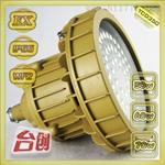 TCD350B60W70W室内 仓库 车间 泛光型 led防爆灯 可以做24V