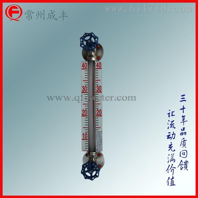 玻璃板液位计