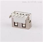 短体10.0后两脚针插板PBT白胶6.3H直边——USB2.0母座