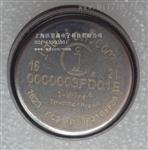 高温温度记录仪DS1922T