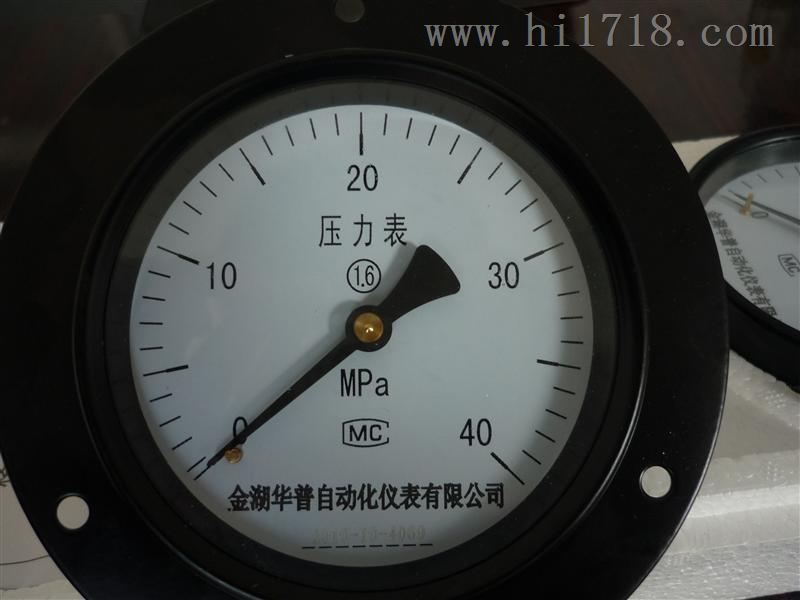 耐酸压力表