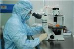 生物安全实验室设计思路