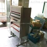 BXMD-7KT加油站防爆配电箱（照明动力功能）