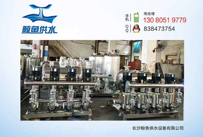 鲸鱼宣传图片2.jpg