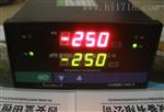 拦污栅差数学显示控制仪SWJ-2-2超限报警装置