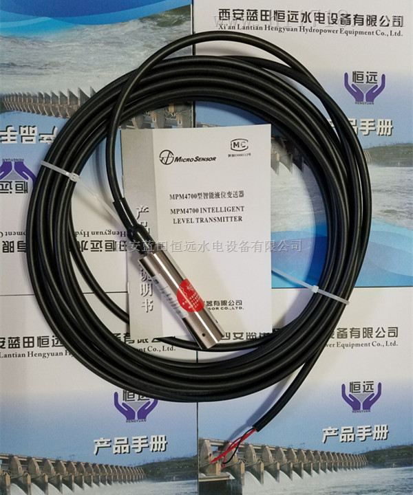 投入式液位传感器MPM4700带防水接线盒