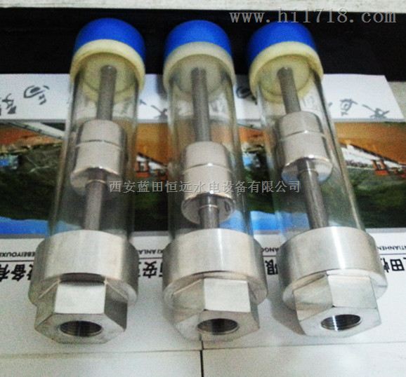 可视窗油位计ZWX-3/500轴承油位信号器ZWX-250规格