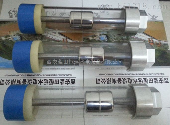 可视窗油位计ZWX-3/500轴承油位信号器ZWX-250规格