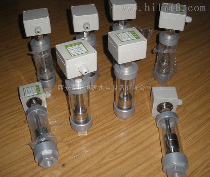 可视窗油位计ZWX-3/500轴承油位信号器ZWX-250规格
