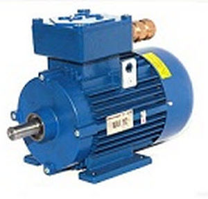 cast-iron-frame-explosion-proof-asynchronous-electric-motors-70517-2689217.jpg