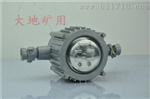 DGS10/127L(A)矿用巷道灯