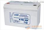 深圳科士达蓄电池6-FM-50 12V50AH
