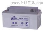 江苏理士蓄电池DJM1245-12 12V45AH