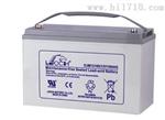 江苏理士蓄电池DJM1245-12 12V45AH