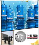 卧式轴流泵 QZB 中德天浩雪橇式轴流泵