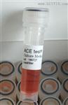 ACE爱斯二氧化氯气体空间灭菌用生物指示剂H6306