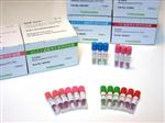  ACE爱斯LTSF灭菌用生物指示剂H6303T