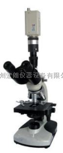 简易偏光显微镜