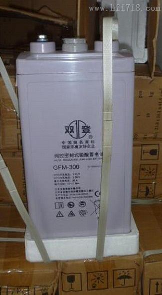 双登GFM-300 蓄电池 备用电源