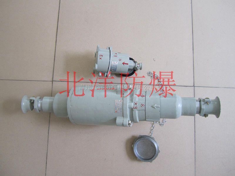 AC隔爆型防爆插销