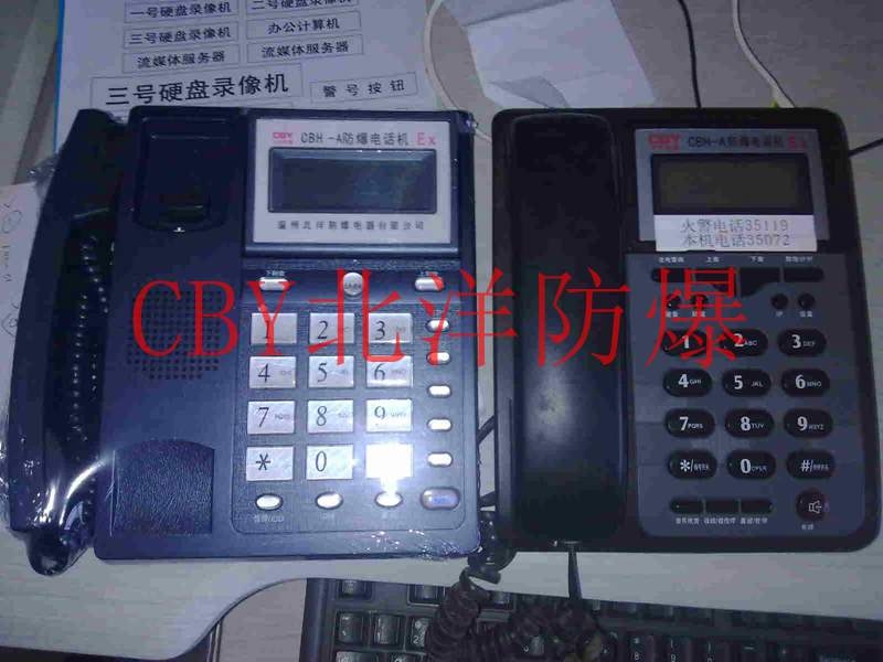 CBH111_副本.jpg
