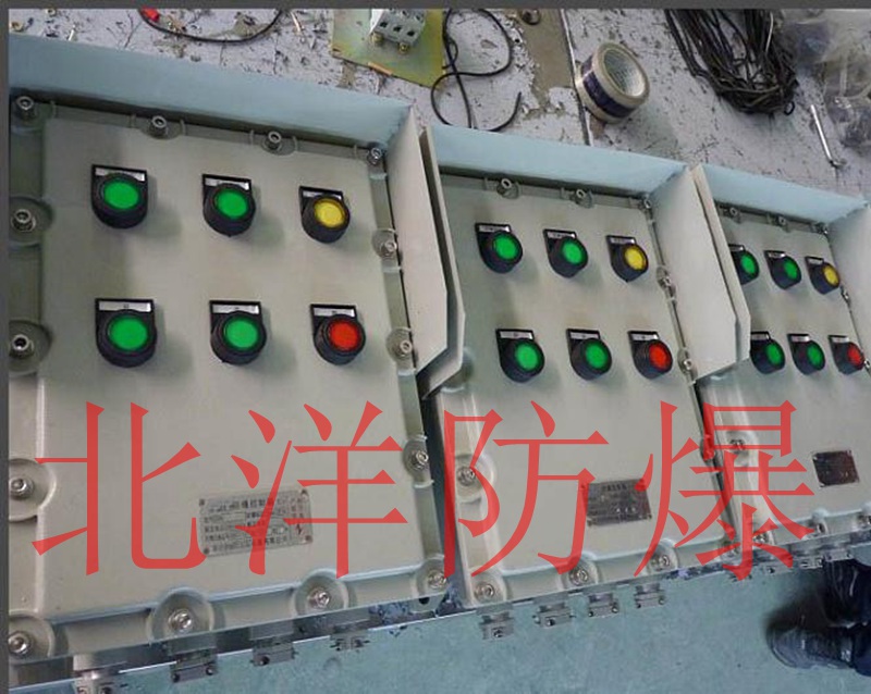 CBP58防爆控制箱（带防雨罩）_副本.jpg