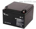 威蓄电池cpv100ah/vision蓄电池厂家
