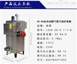 旭恩微型80KG燃气蒸汽发生器评价