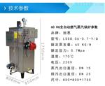 旭恩低压60KG燃气蒸汽发生器供应商