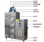 旭恩燃80KG生物质蒸汽发生器评价