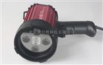 LP-40L/LP-40LD美国路阳LED紫外线灯【低价】
