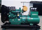 邯郸50kw发电机 养殖畜牧业备用电源 50千瓦全铜发电机