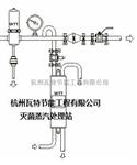 台湾瓦特蒸汽处理站