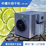 小型柠檬片烘干机