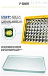 LED爆灯50W100W兆昌工业照明煤矿油田用