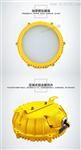 LED爆灯20W30W40W兆昌特种照明吸顶腐灯